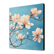 Magnolia in fiore