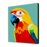 Parrot Richie