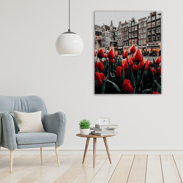 Tulipani Amsterdam (6957427687606)