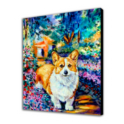 Cane Corgi (6957558333622)