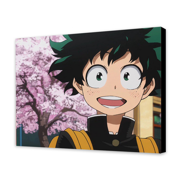 Boku no Hero Academia