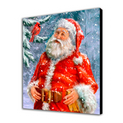 Babbo Natale nella neve (6957486997686)