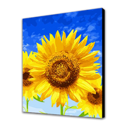 Bel girasole (6957425328310)