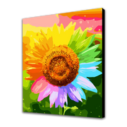 Girasole colorato (6957425688758)