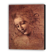 Leonardo da Vinci “Testa” (6957404815542)