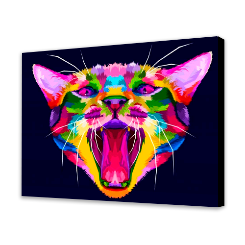 Gatto colorato (6957474971830)