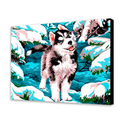 Husky della neve (6957468516534)