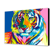 Tigre colorata (6957580222646)