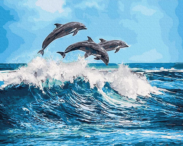 Dolphins (6957452492982)