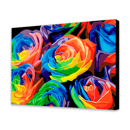 Rose colorate (6957503545526)