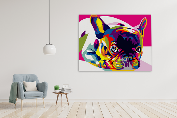 Cane francese colorato (6957461471414)