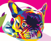 Cane francese colorato (6957461471414)
