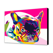 Cane francese colorato (6957461471414)