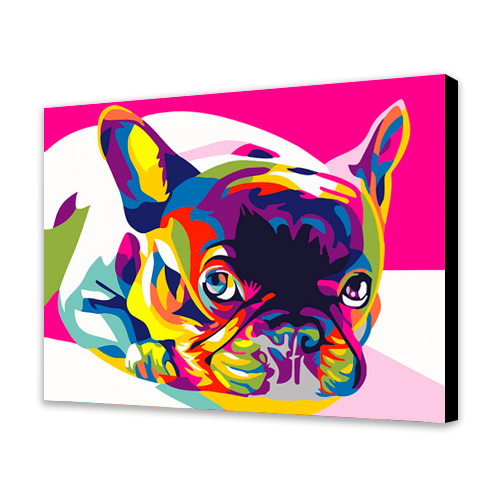 Cane francese colorato (6957461471414)