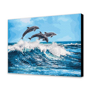 Dolphins (6957452492982)