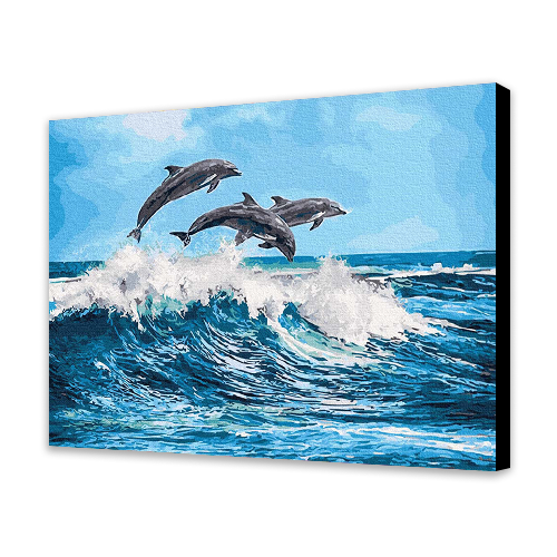 Dolphins (6957452492982)