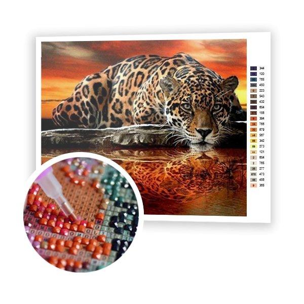 Leopardo al tramonto (6958621622454)