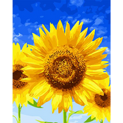 Bel girasole (6957425328310)