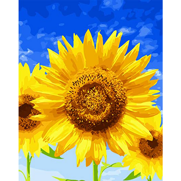 Bel girasole (6957425328310)