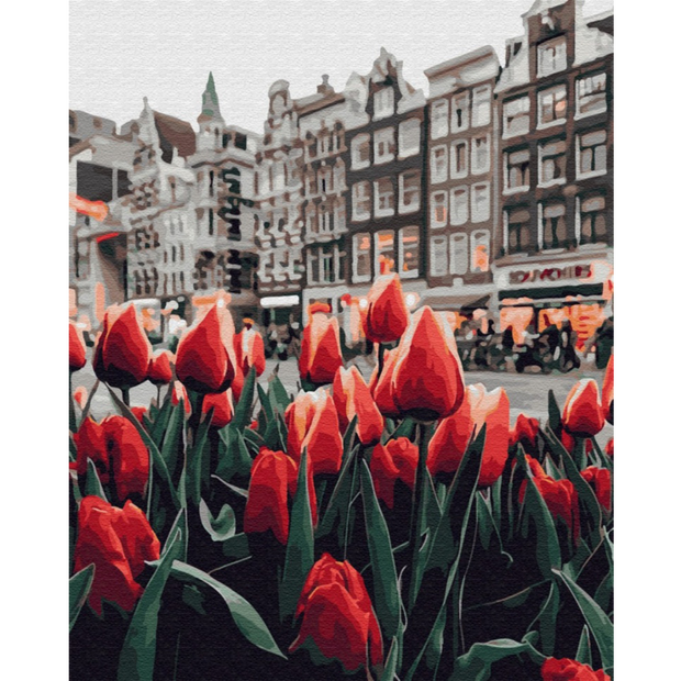 Tulipani Amsterdam (6957427687606)